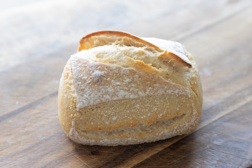 rus Plain White ケース入数40個